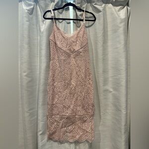 Express Pink Lace dress